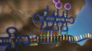 Proteinbiosynthese 3D in 3 Minuten  made EASY [upl. by Brittany]