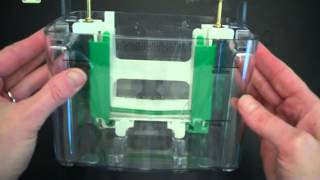 SDS PAGE Part 1 Assembly and Electrophoresis [upl. by Names513]