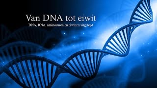 Van DNA tot eiwit havovwo [upl. by Ettenor]