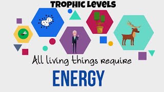 Trophic LevelsEnergy Flow in Ecosystems [upl. by Chrisoula929]