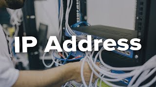 How to Find IP Address in Wireshark [upl. by Llenrod681]