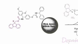 Fmoc Solid Phase Peptide Synthesis [upl. by Surdna]