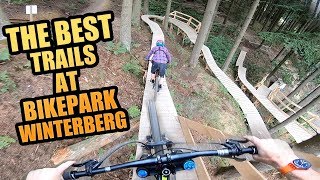 THE 3 BEST MTB TRAILS AT BIKEPARK WINTERBERG [upl. by Etolas]