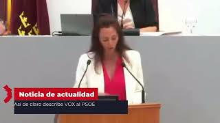 Así de claro describe VOX al PSOE [upl. by Ajnin]