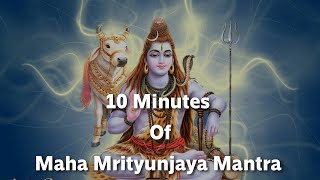 10 Minutes of Maha Mrityunjaya Mantra [upl. by Nyluqcaj]