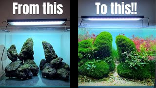 TAKE YOUR AQUASCAPE TO THE NEXT LEVEL WITH THIS MOSS METHOD [upl. by Elsa]