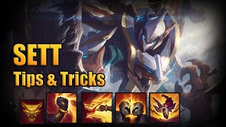 SETT COMBOS tips amp tricks  League of Legends guide [upl. by Odnam304]