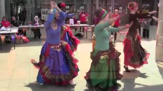 Egyptian Ghawazee style folk dancers [upl. by Une]