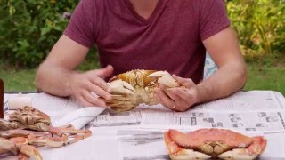 How to Eat a Crab [upl. by Nortad]