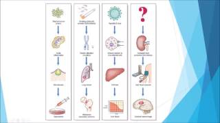 Pathology  Introduction and disease nomenclature [upl. by Mascia]