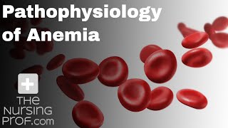 Pathophysiology of Anemia [upl. by Cosetta]