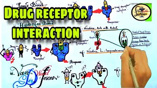 Drug receptor interaction  Pharmacodynamics  Pharmacology [upl. by Attegroeg424]