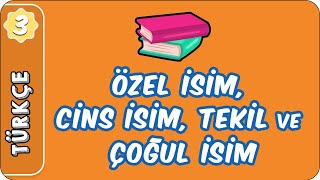 Özel İsim Cins İsim Tekil ve Çoğul İsim Topluluk İsmi  3 Sınıf Türkçe evokul Kampı [upl. by Adnotal1]