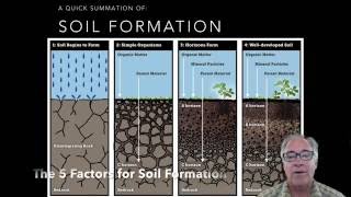 Soil Formation 5 Soil Factors Part 1 [upl. by Nikolai184]