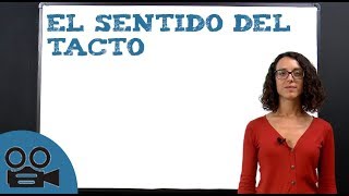 El sentido del tacto [upl. by Stesha]