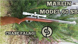 Marlin model 60 SB 22 Rifle Review [upl. by Veronica]