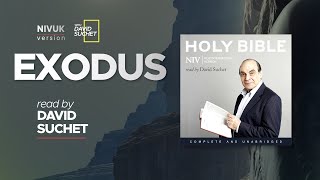 The Complete Holy Bible  NIVUK Audio Bible  2 Exodus [upl. by Ras]