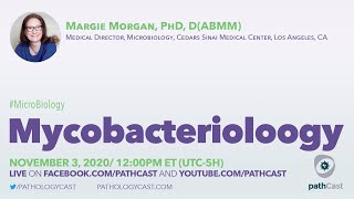 Mycobacteriology  Dr Morgan Cedars Sinai MICROBIOLOGY [upl. by Ayoral73]