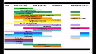 Antibiotic Coverage Made Easy  USMLE  COMLEX [upl. by Nuawad]