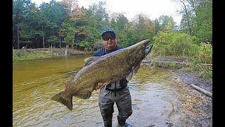 BETSIE RIVER MICHIGAN SALMON FISHING FALL 2021 [upl. by Kihtrak34]