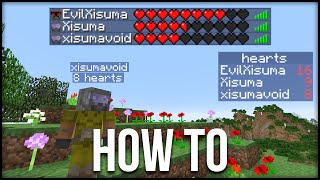 Minecraft How To Display Hearts amp Other Statistics Tutorial [upl. by Donaghue170]