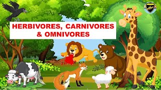 Herbivores  Carnivores  Omnivores  Types of Animals [upl. by Enialehs]