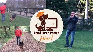 Hond leren komen op commando [upl. by Allets418]