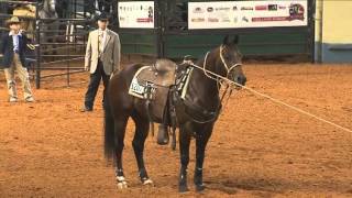 2012 AQHA World Championship Show Part 2 [upl. by Wampler]