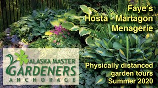 Fayes Hosta  Martagon Menagerie Garden Tour [upl. by Derk282]