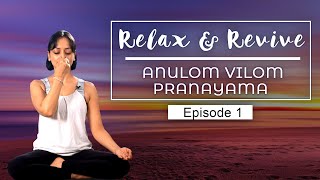 Simple Ways To MEDITATE At HOME  Anulom  Vilom Pranayam Breathing Exercise  Relax amp Revive E01 [upl. by Gnof]