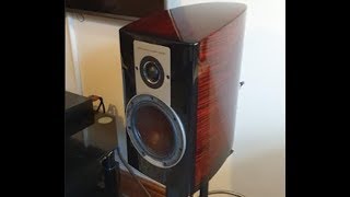 The FLAGSHIP DALI speakers Epicon 2 review [upl. by Feilak]