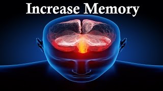 Improve Memory – Increase Your Brain Power With Sound Therapy amp Subliminal Messages [upl. by Hurleigh708]