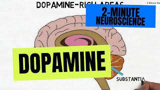 2Minute Neuroscience Dopamine [upl. by Noiemad]