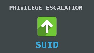 Common Linux Privilege Escalation Exploiting SUID [upl. by Ecad]