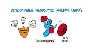 Autoimmune Hemolytic Anemia [upl. by Nauqet]