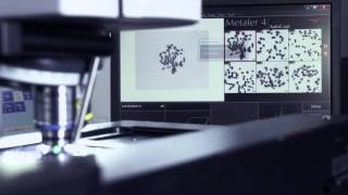 MetaSystems Cytogenetic Imaging Automation [upl. by Layol5]