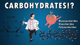 Carbohydrates  Haworth amp Fischer Projections With Chair Conformations [upl. by Parrie159]