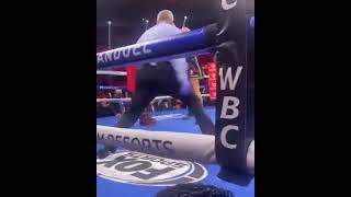 Ringside Angle of Tyson Fury Knocking Wilder Down 3 Times Finishes Him In Highlight Fashion shorts [upl. by Imak141]