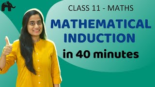 Mathematical Induction Class 11 in Hindi [upl. by Peri729]