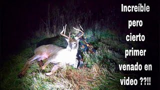 Cacería de venado cola blanca caza con arco y flecha [upl. by Kolnos44]