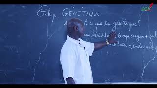 Cours  Terminale  SVT  Génétique  Introduction [upl. by Lidah]