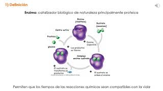 Seminario Enzimas Presentacion 1 [upl. by Cerveny]