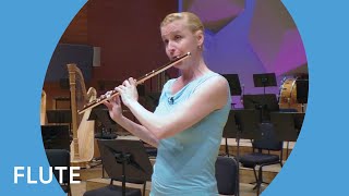 Guide to the Orchestra Flute Demonstration  Minnesota Orchestra [upl. by Einaffets]