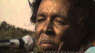 Clifton Chenier  Rare Video Clip [upl. by Allisan354]