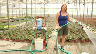 Using Beneficial Nematodes to Manage Pests in Greenhouses [upl. by Eblehs347]