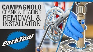 Crank amp Bearing Removal and Installation  Campagnolo® UltraTorque™ [upl. by Esilec824]