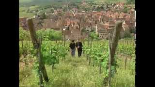 Discover the Wines of Alsace [upl. by Eilyak]