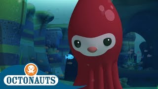 StayHome Octonauts  Leviathan  Compilation  Cartoons for Kids [upl. by Mossolb]