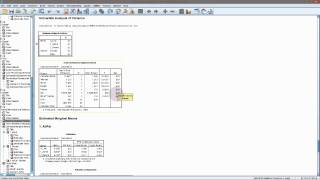 SPSS  General Linear Model with interaction [upl. by Aneleairam447]