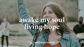 Awake My Soul  Living Hope [upl. by Yetah]